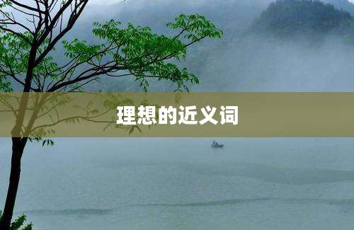 理想的近义词