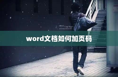 word文档如何加页码