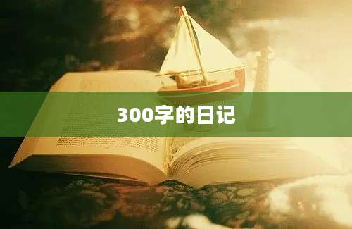 300字的日记