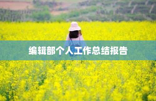 编辑部个人工作总结报告