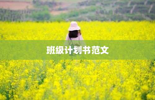 班级计划书范文