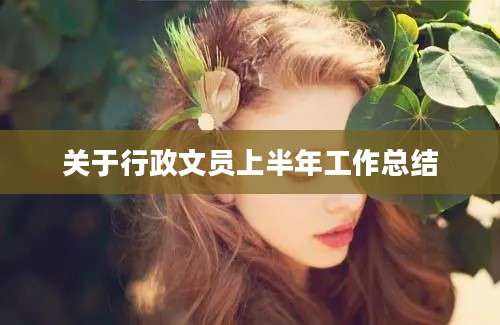 关于行政文员上半年工作总结
