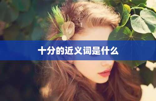 十分的近义词是什么