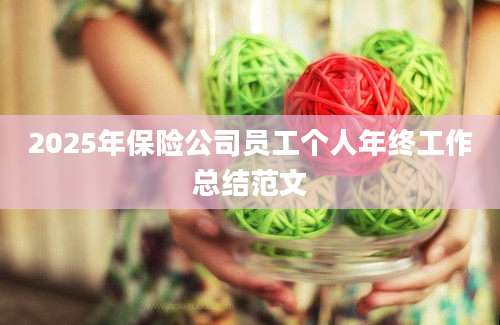 2025年保险公司员工个人年终工作总结范文
