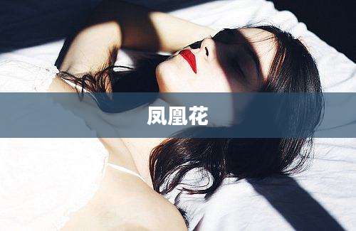 凤凰花