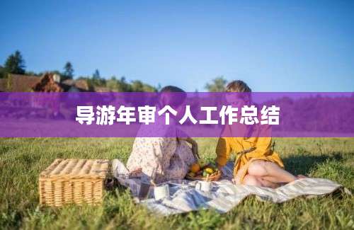 导游年审个人工作总结