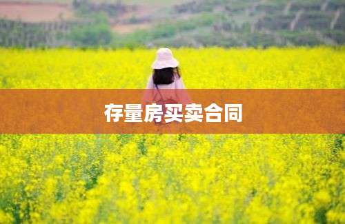 存量房买卖合同