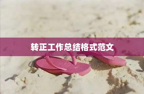 转正工作总结格式范文