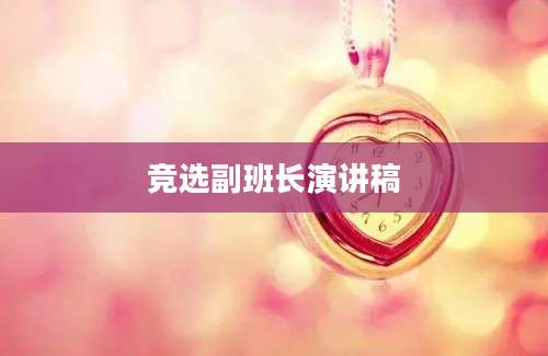 竞选副班长演讲稿