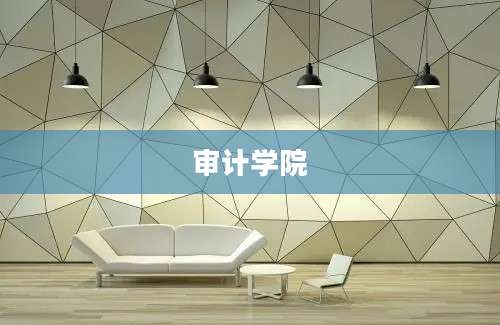 审计学院