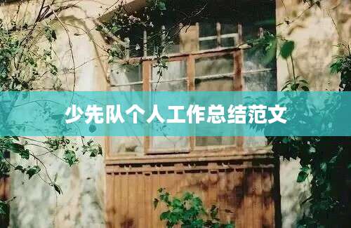 少先队个人工作总结范文