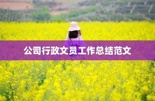 公司行政文员工作总结范文