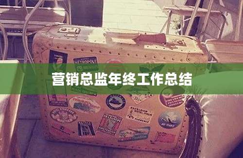 营销总监年终工作总结