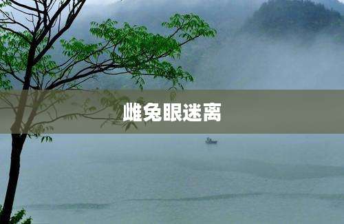 雌兔眼迷离