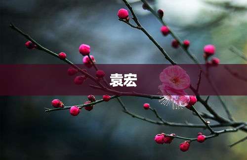 袁宏