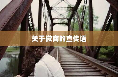 关于微商的宣传语
