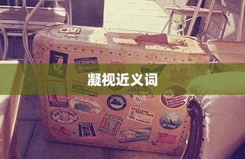 凝视近义词