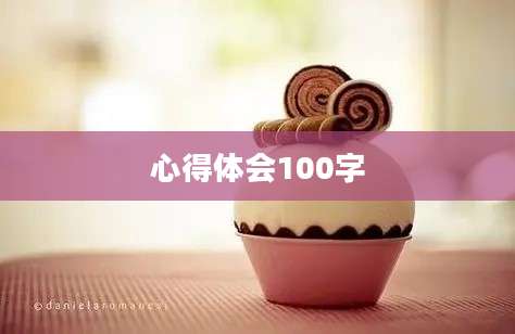 心得体会100字