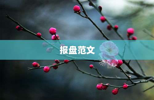 报盘范文