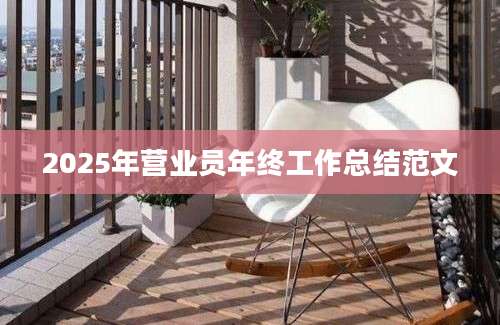 2025年营业员年终工作总结范文