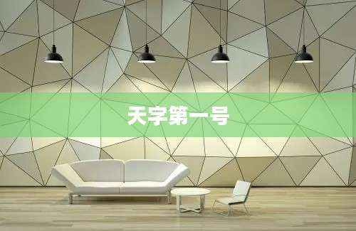 天字第一号
