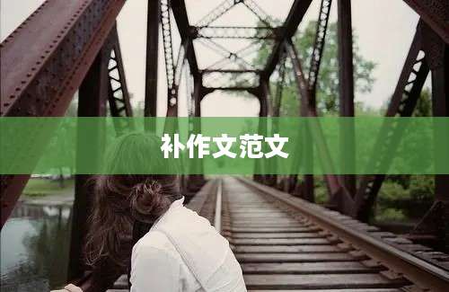 补作文范文