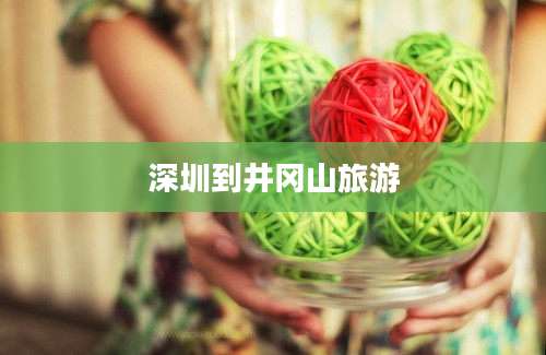 深圳到井冈山旅游