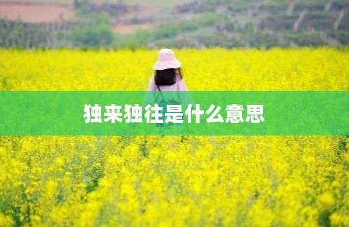 独来独往是什么意思