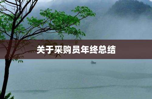 关于采购员年终总结