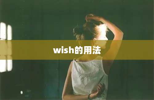 wish的用法