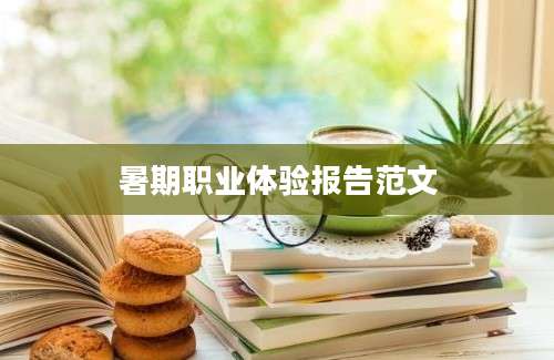 暑期职业体验报告范文