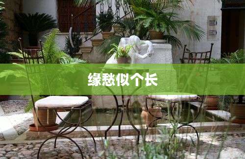 缘愁似个长
