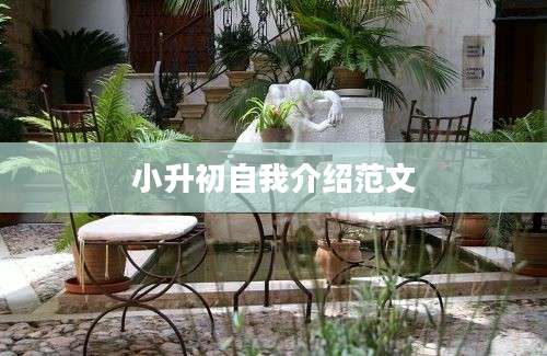 小升初自我介绍范文