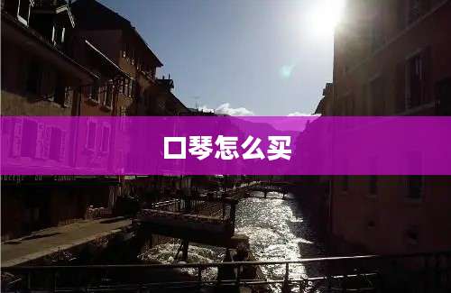 口琴怎么买