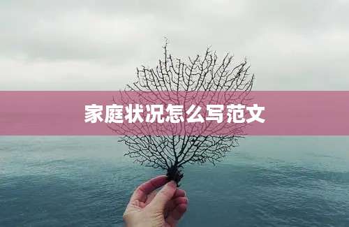 家庭状况怎么写范文