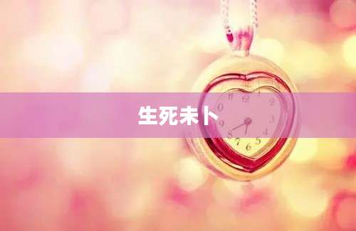 生死未卜