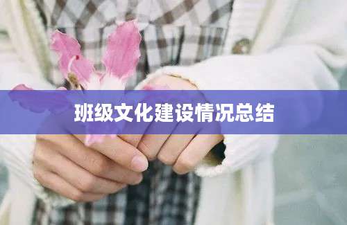 班级文化建设情况总结