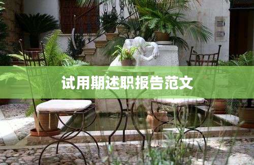 试用期述职报告范文