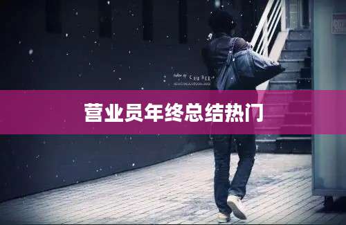 营业员年终总结热门
