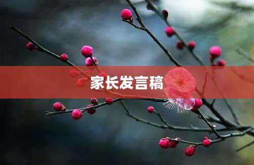 家长发言稿