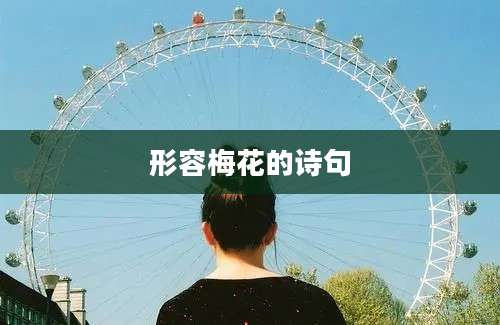 形容梅花的诗句