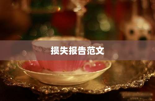 损失报告范文
