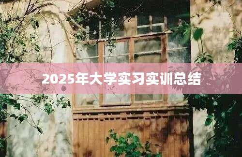 2025年大学实习实训总结
