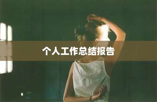 个人工作总结报告
