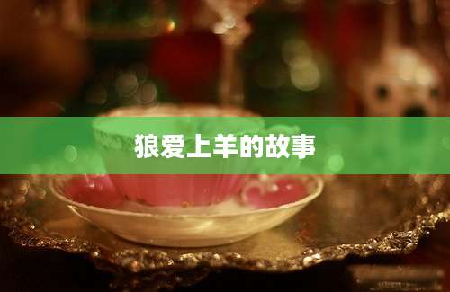 狼爱上羊的故事