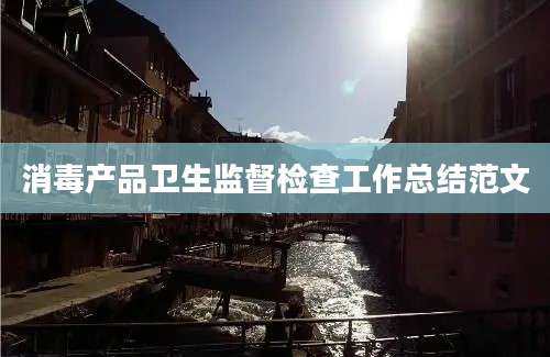 消毒产品卫生监督检查工作总结范文