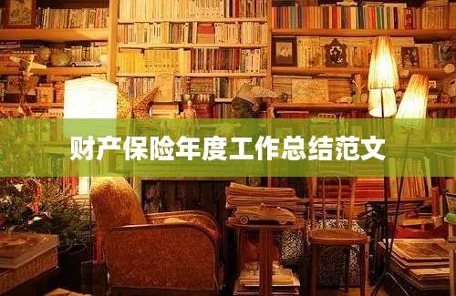 财产保险年度工作总结范文