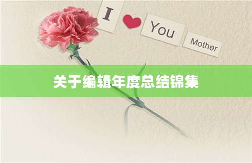 关于编辑年度总结锦集