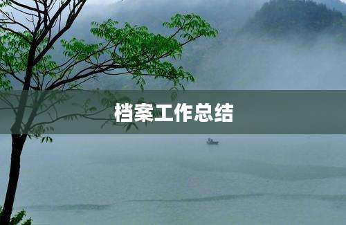 档案工作总结