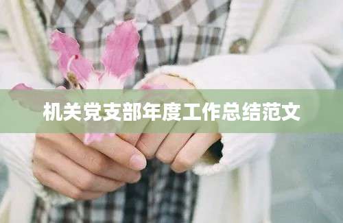 机关党支部年度工作总结范文